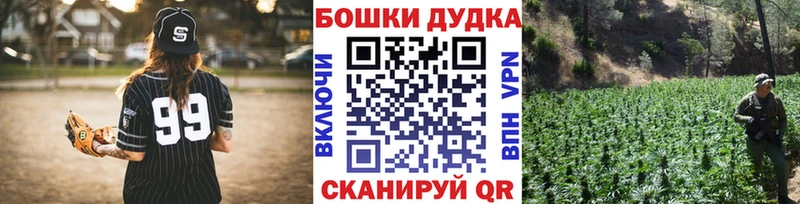 Бошки марихуана планчик  Кедровый 